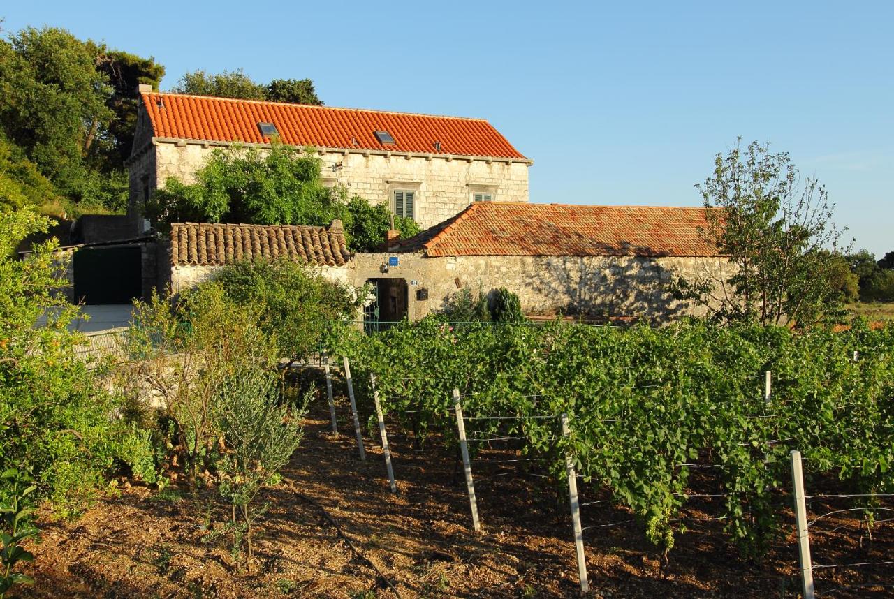 Villa Violić - B&B