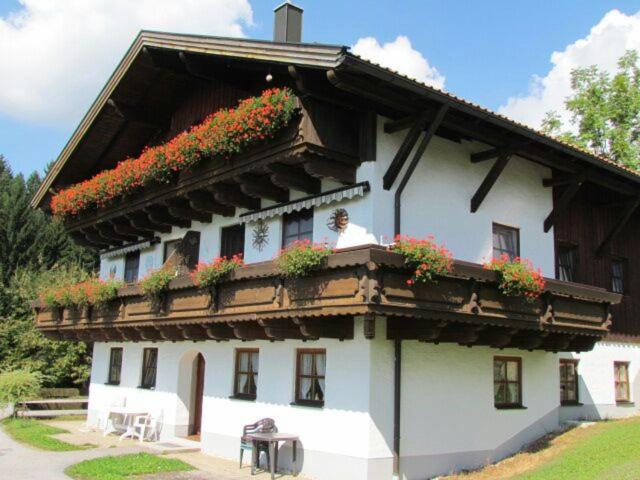 B&B Freudensee - Am Waldeck 10 App. 1002 - Bed and Breakfast Freudensee