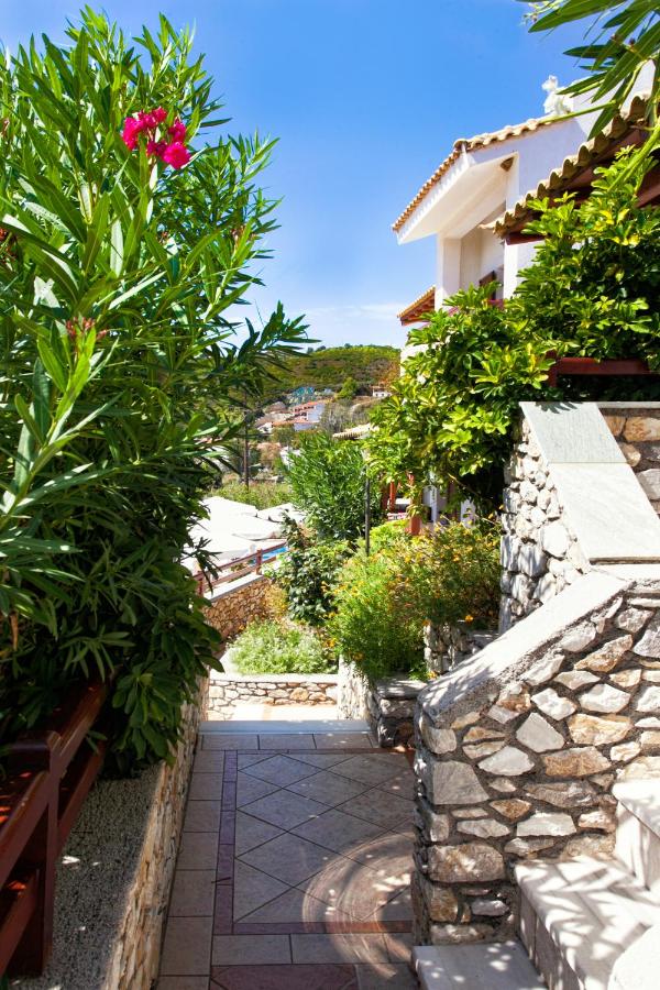 Estudio con terraza