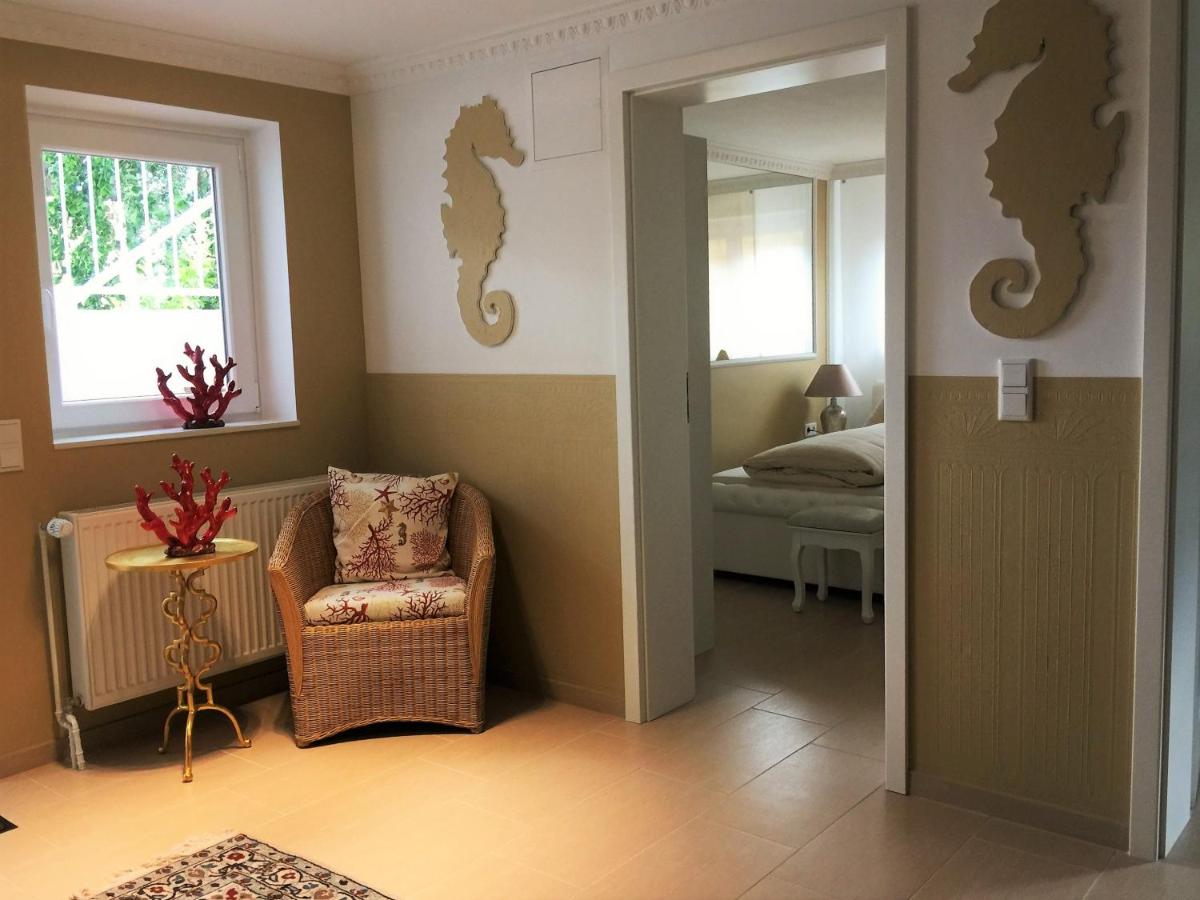 Apartment with Terrace - Souterrain