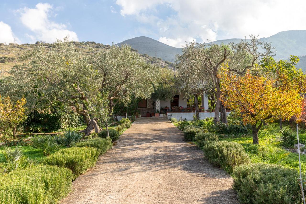 Villa Violetta - Ferienwohnung