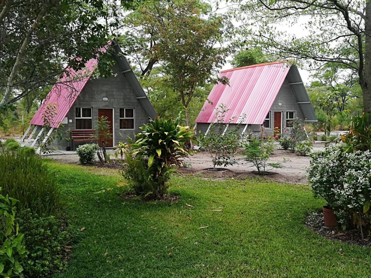 Happy Forest B&B - B&B
