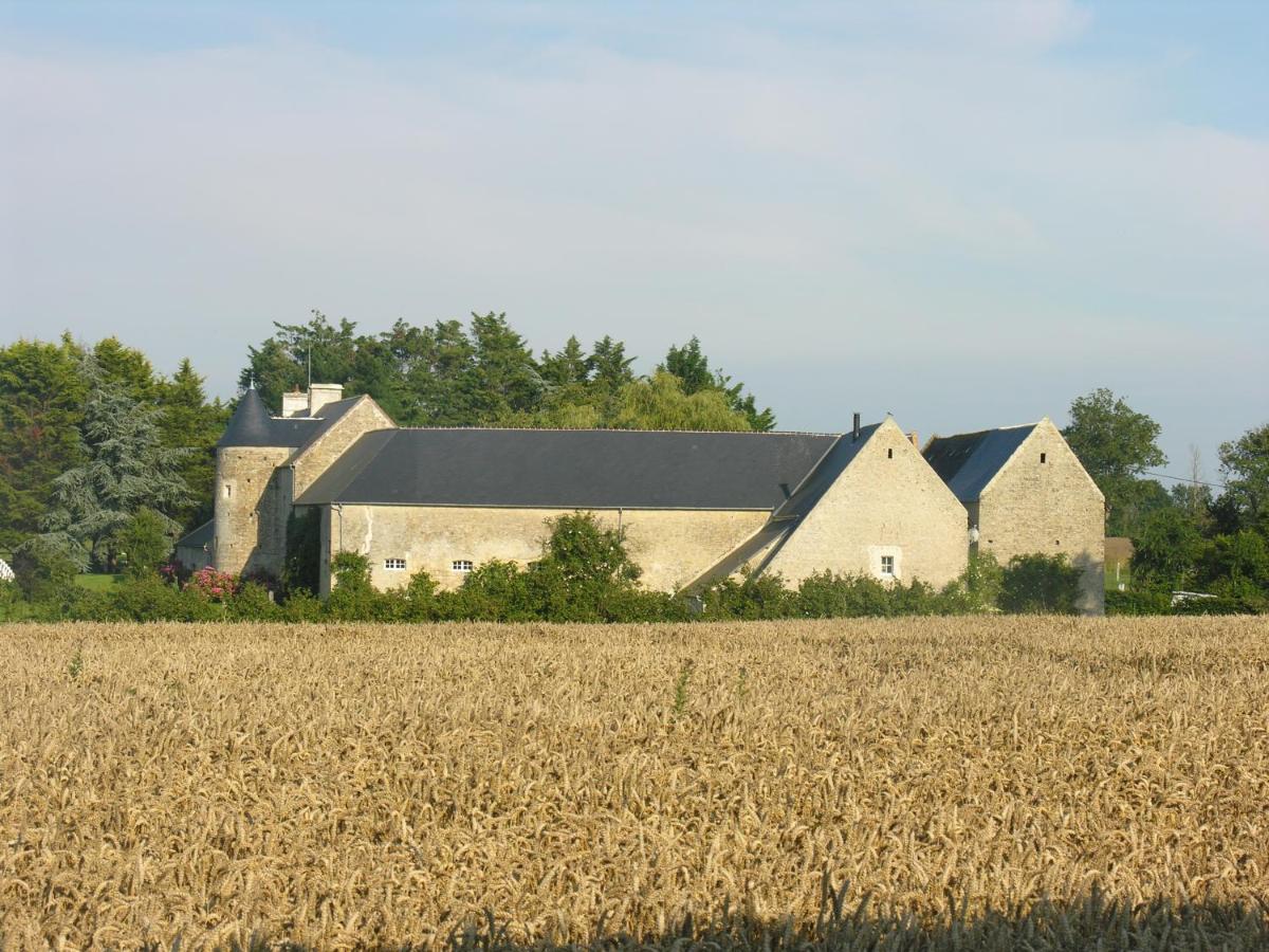 Ferme de Savigny - Ferienwohnung