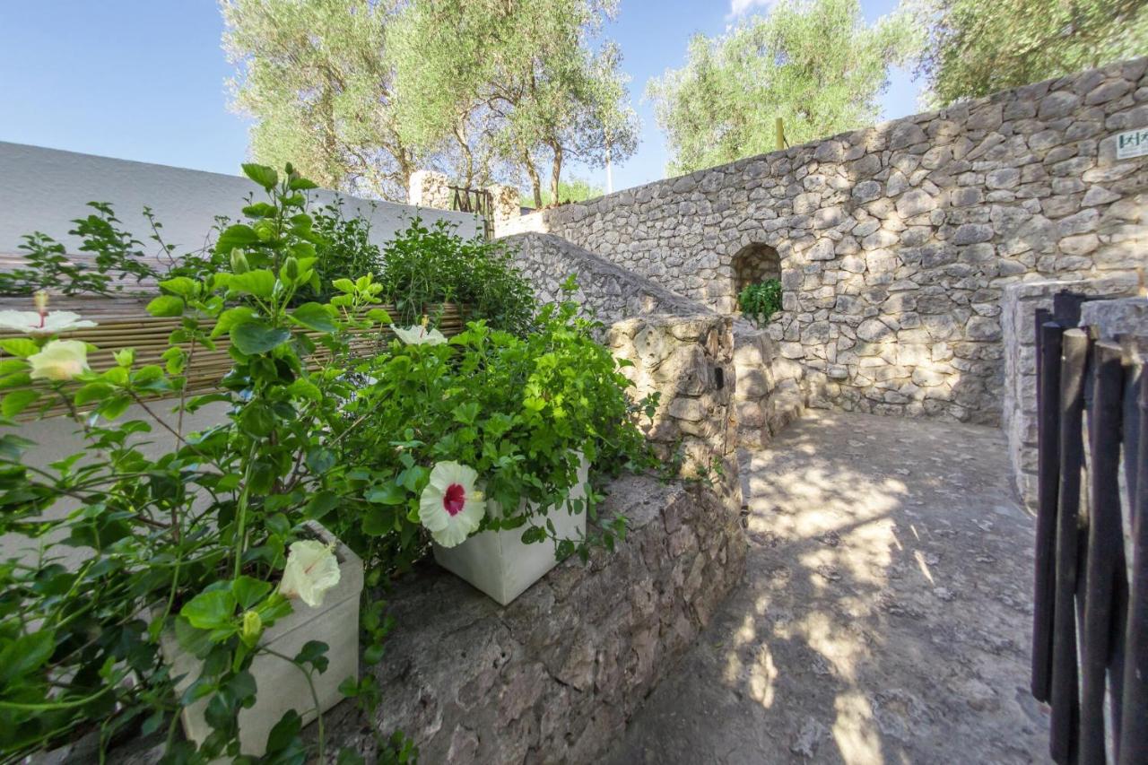 Residenza La Cicala - B&B