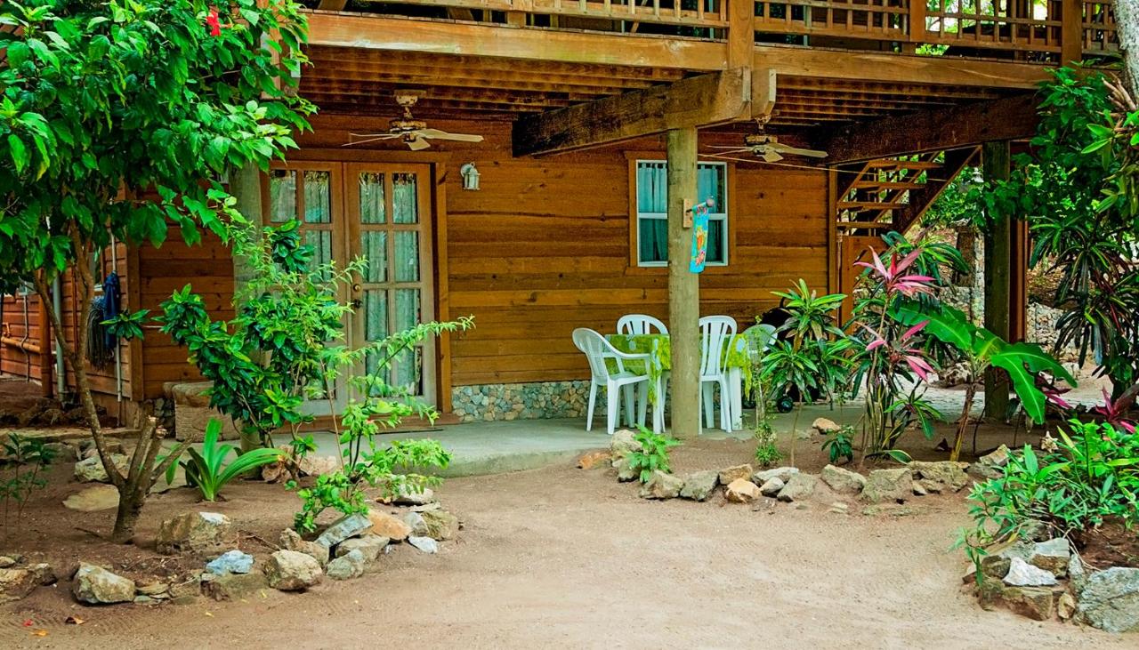 Blue Island Divers Casa Descanso - Bed and Breakfast