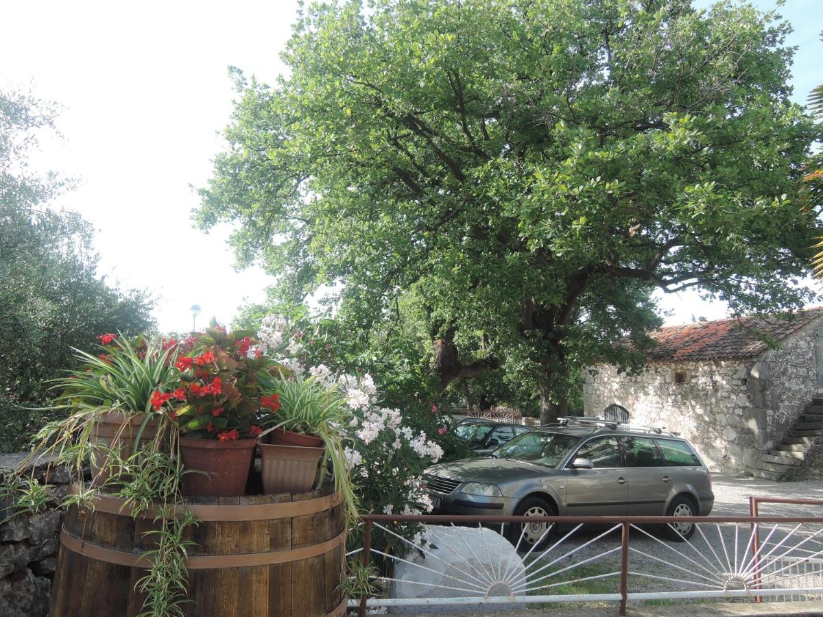 Apartments Sabina i Grapes - B&B