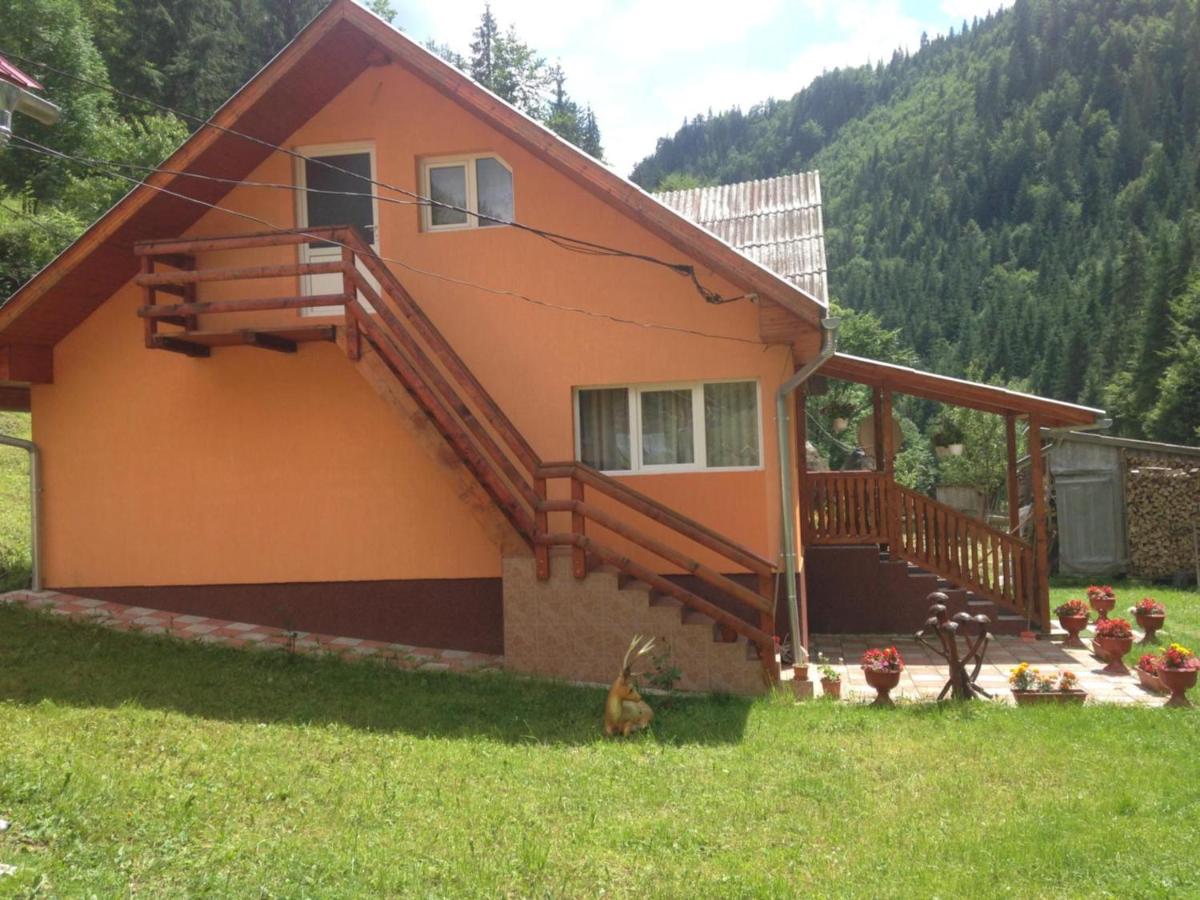 Moara Lui Ivan - Ferienwohnung