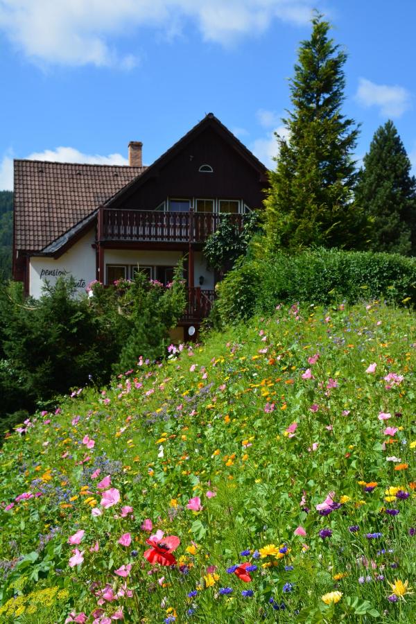 Pension Andante - B&B