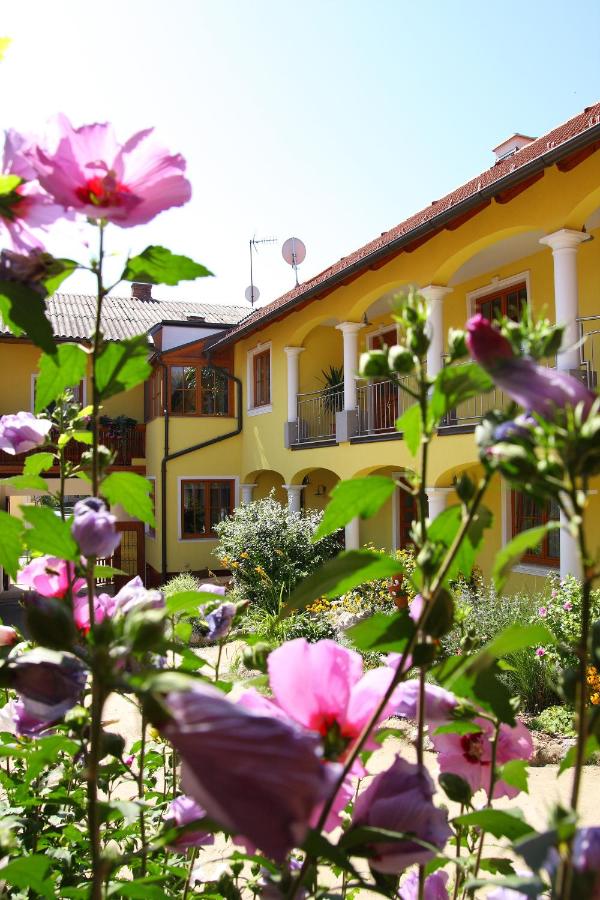 B&B Herrnbaumgarten - Weingut - Gästezimmer zum Schwalbennest - Bed and Breakfast Herrnbaumgarten