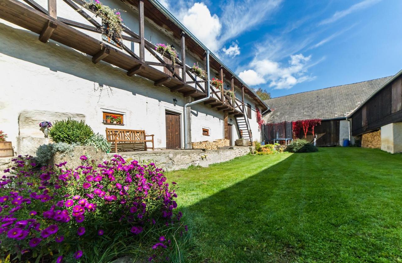 Pension U Řehoutů - B&B Horní Planá