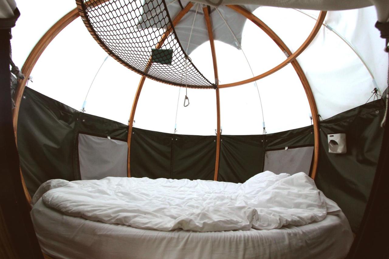 Bubble Double Room