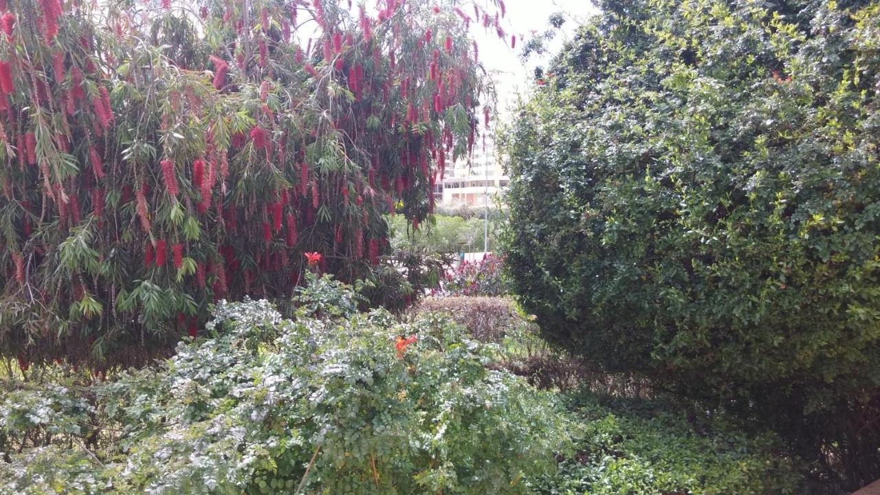 Gaivota Sun - B&B