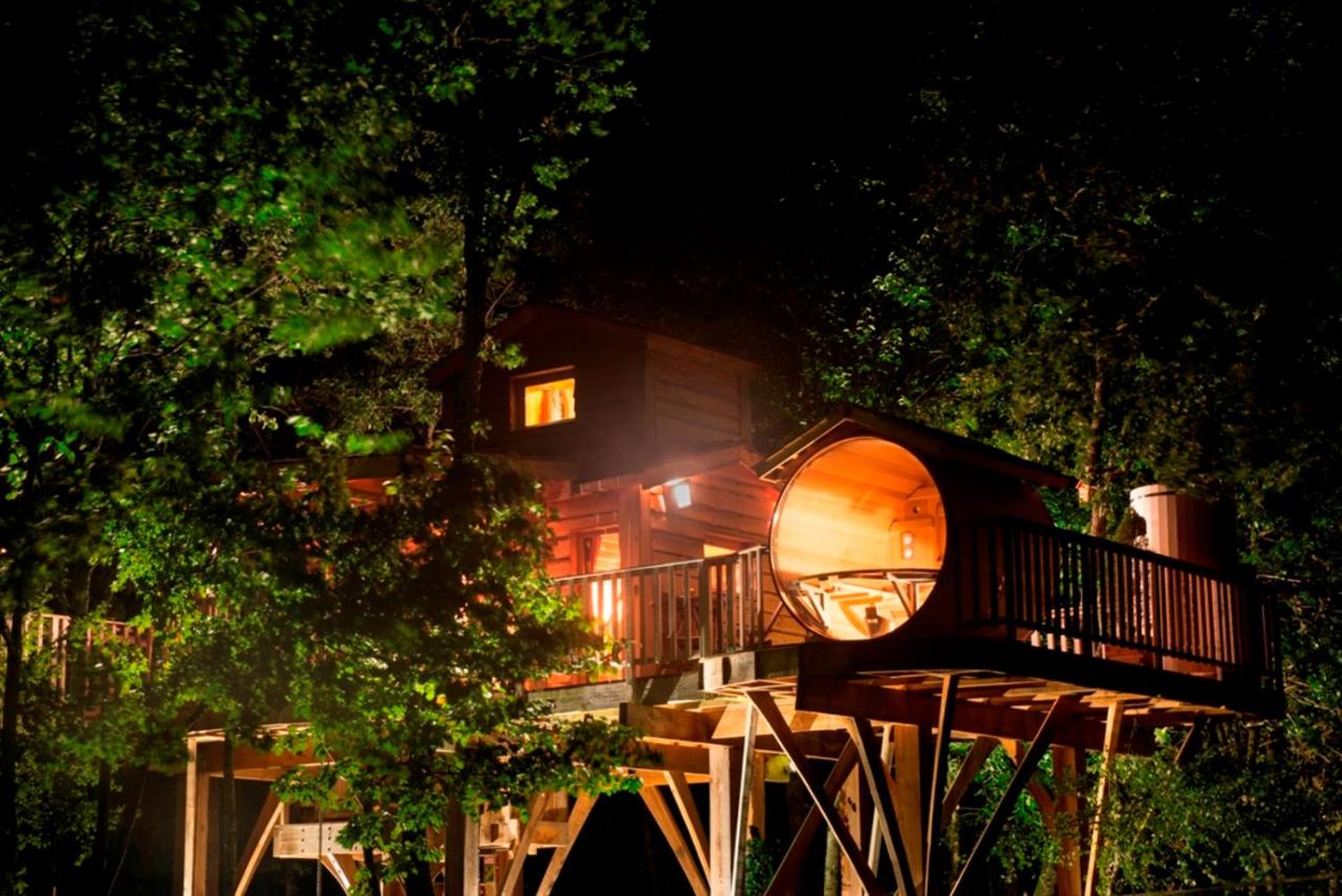 Bois Des Nauzes - B&B