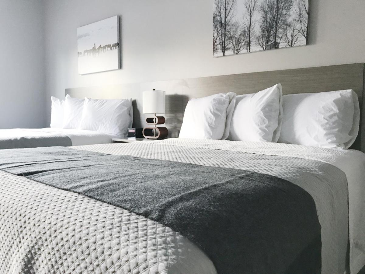 Two Room Suite