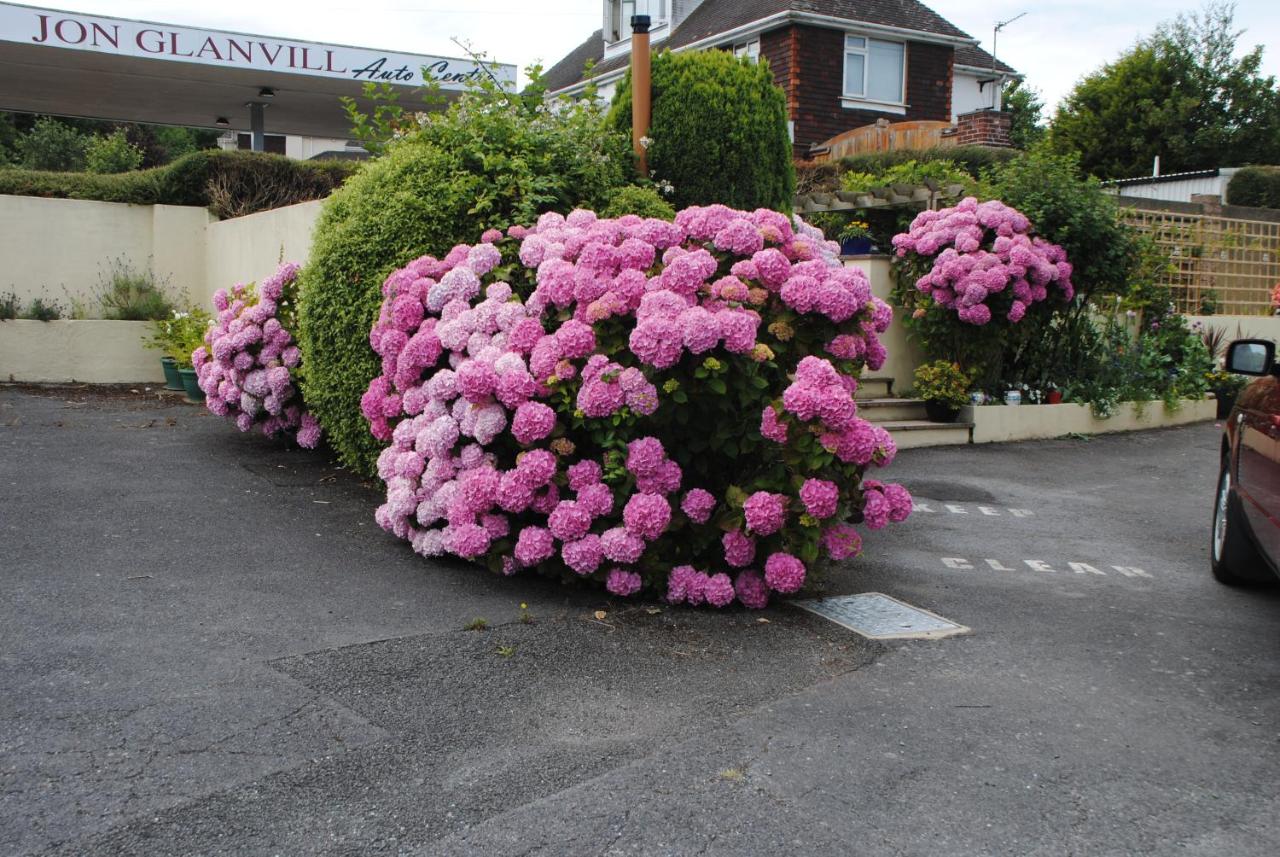 B&B Torquay - Honeysuckle Bungalow - Bed and Breakfast Torquay