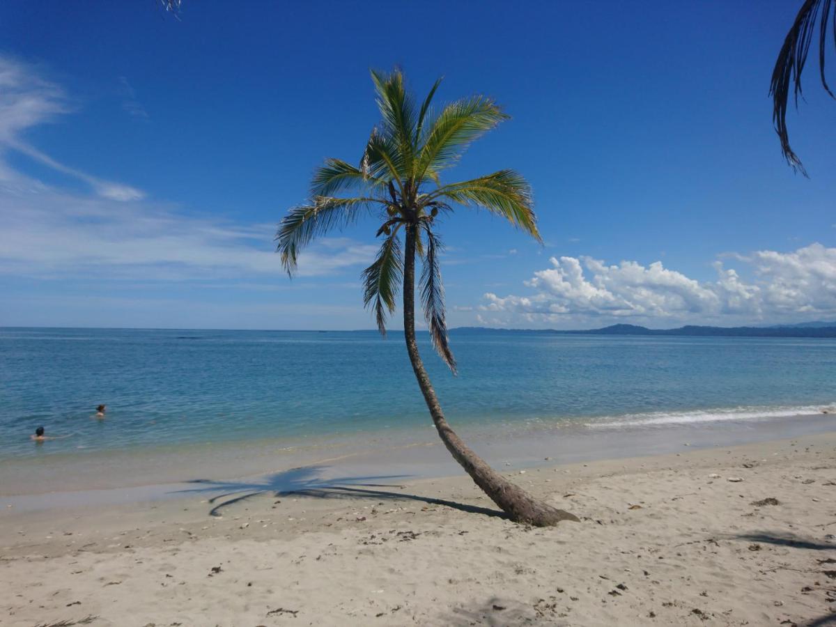 B&B Cahuita - Casa Verde, Cahuita - Bed and Breakfast Cahuita