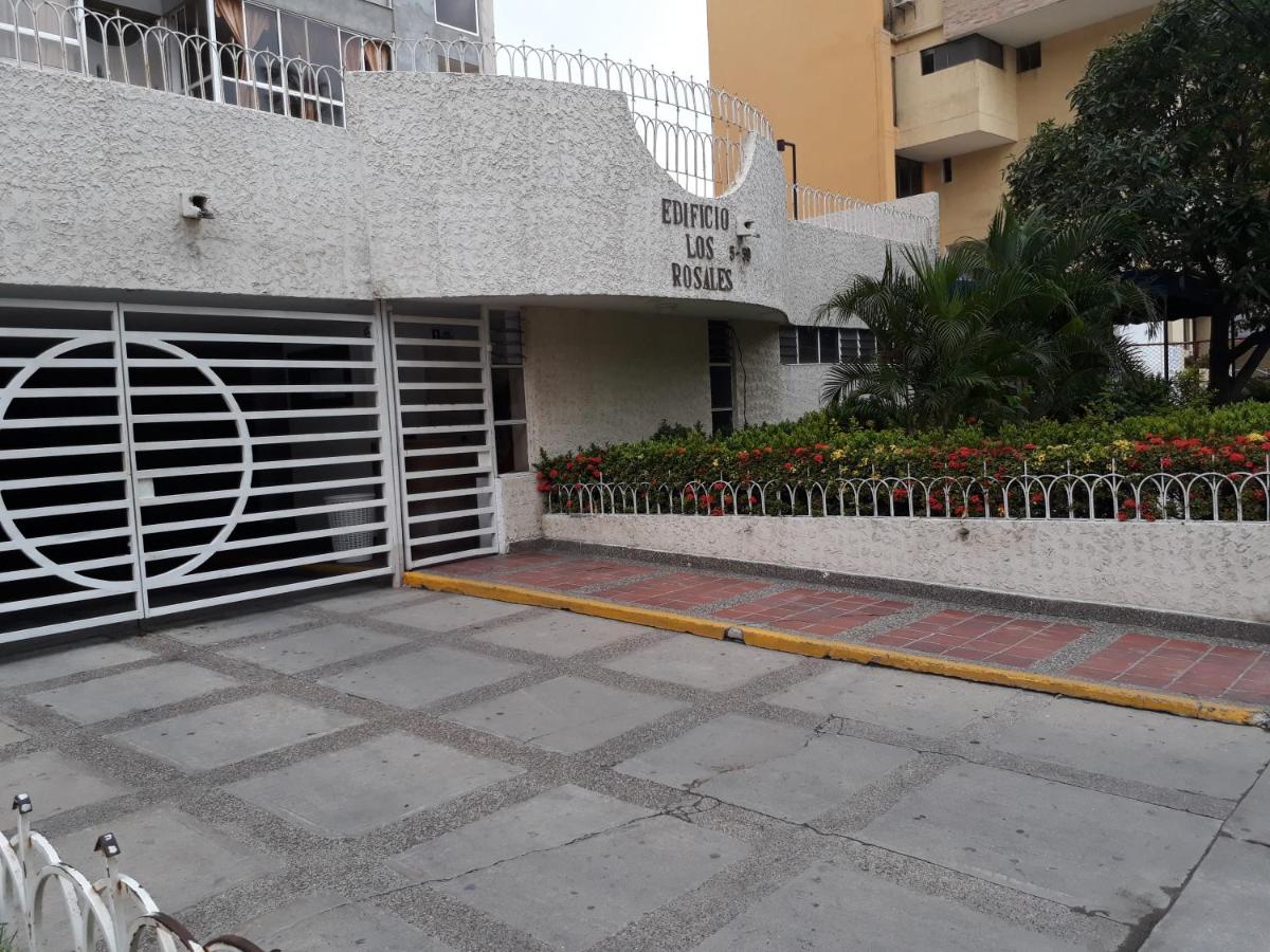 Apartamentos Freddy's Tours - B&B Santa Marta