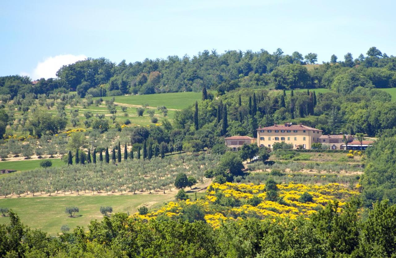 Hotel Relais Palazzo di Luglio - B&B Sansepolcro