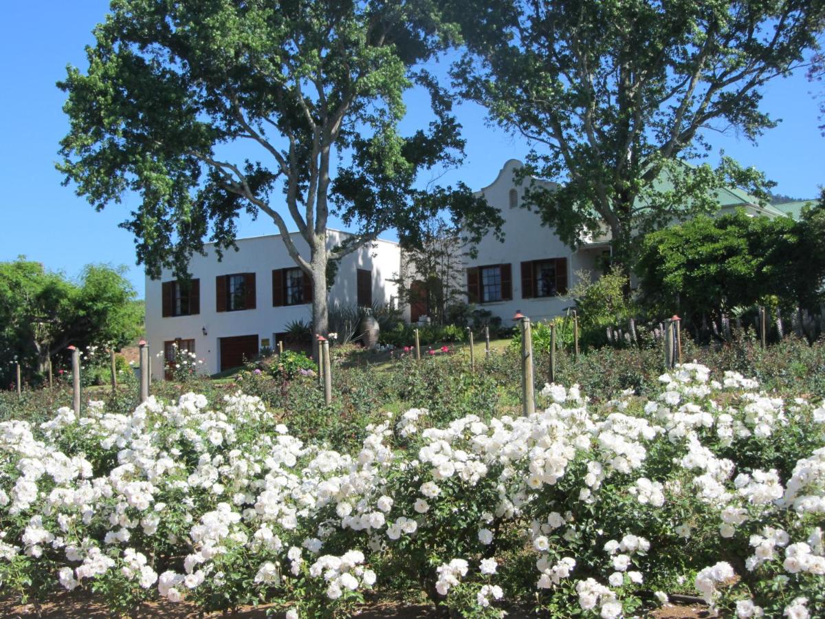 B&B Stellenbosch - Aan-Den-Weg - Bed and Breakfast Stellenbosch