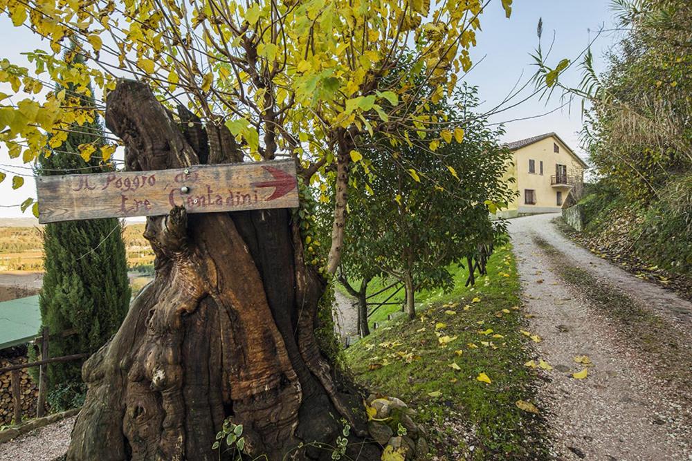 Il poggio dei tre contadini - B&B Ponte Felcino