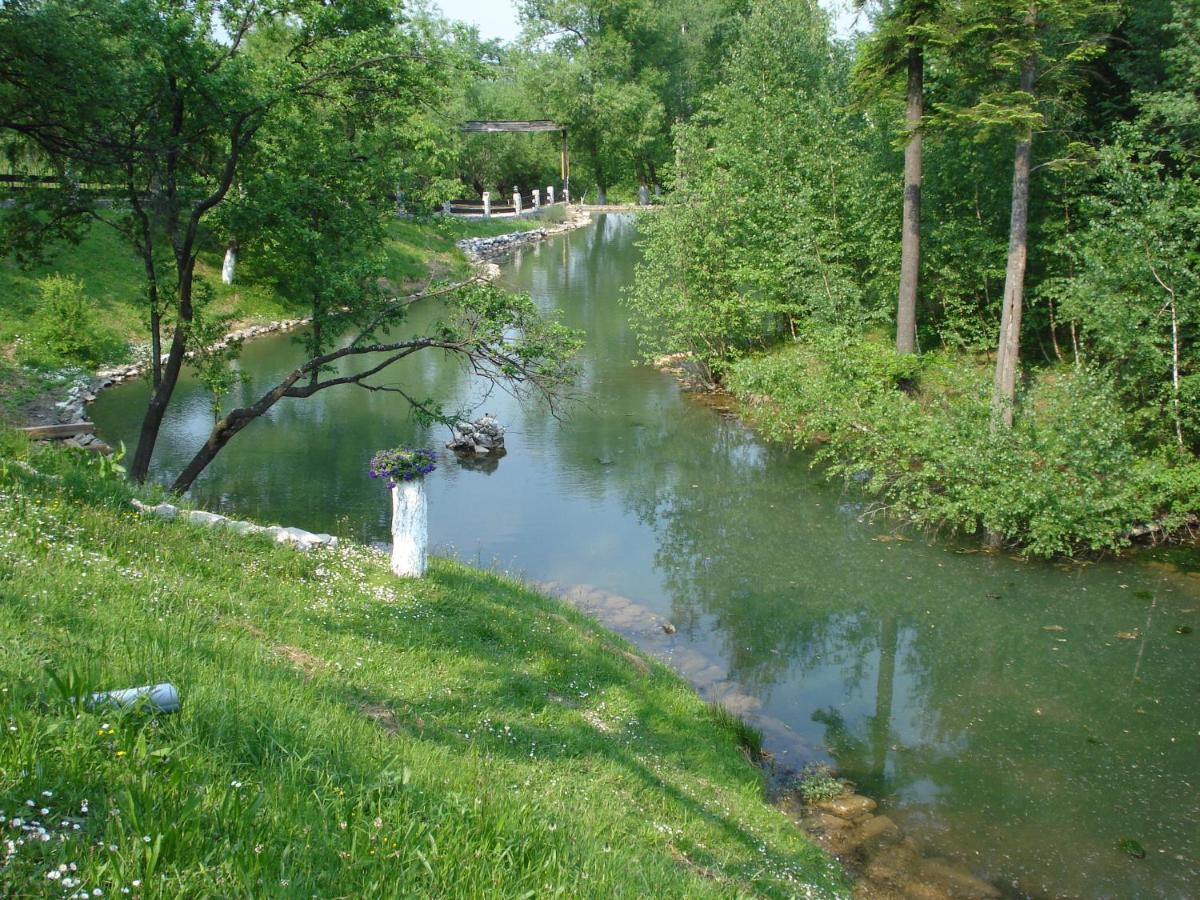 Motorom - Bed and Breakfast Zărneşti