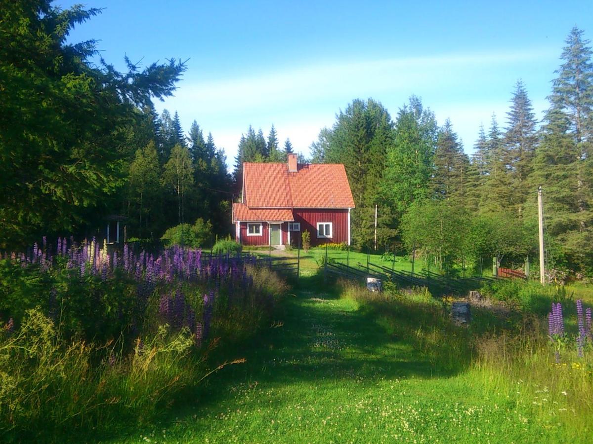 Skogslyckan - B&B