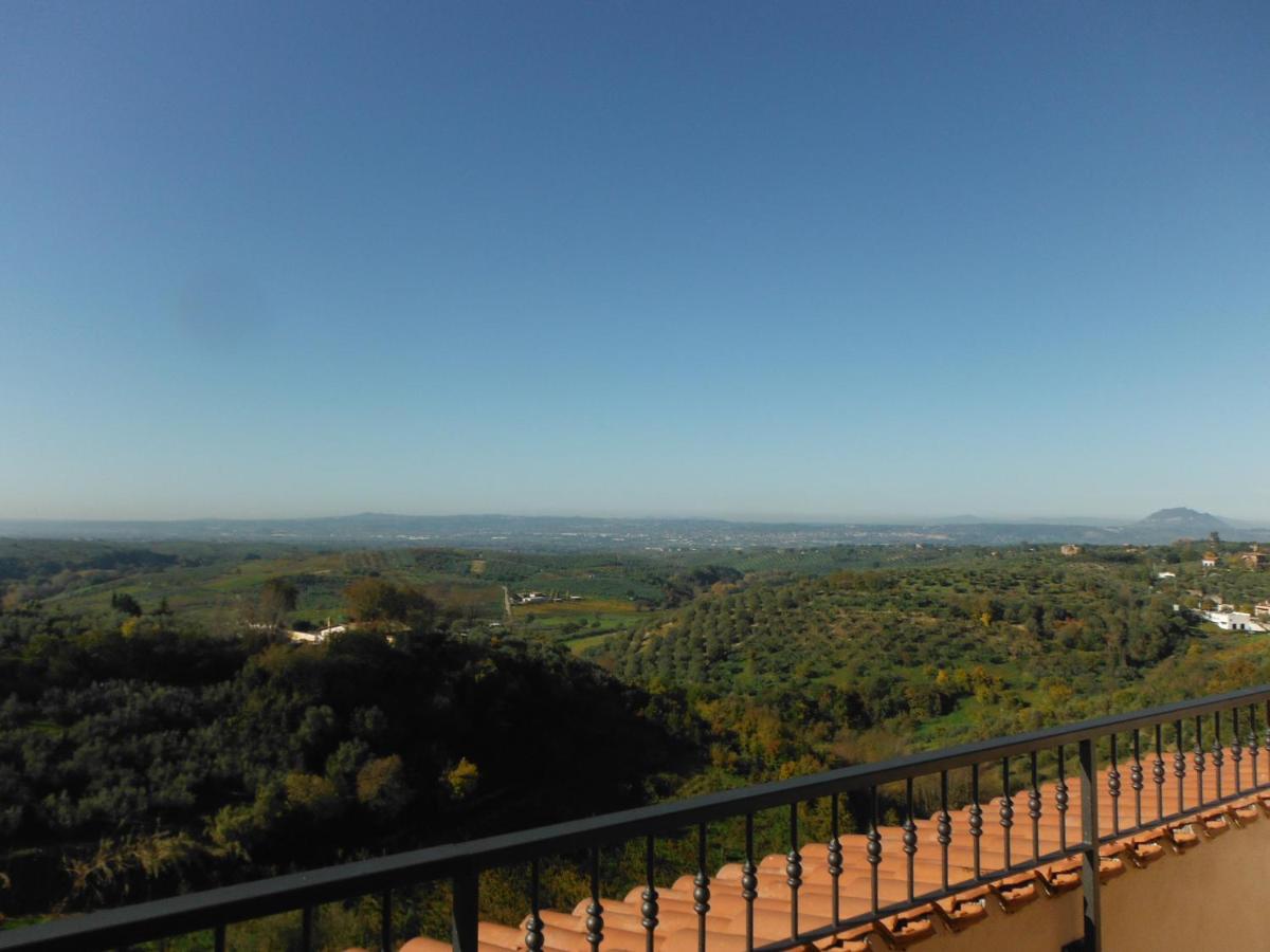 Alloggio Turistico Ciliegi in Fiore - B&B Monte Libretti