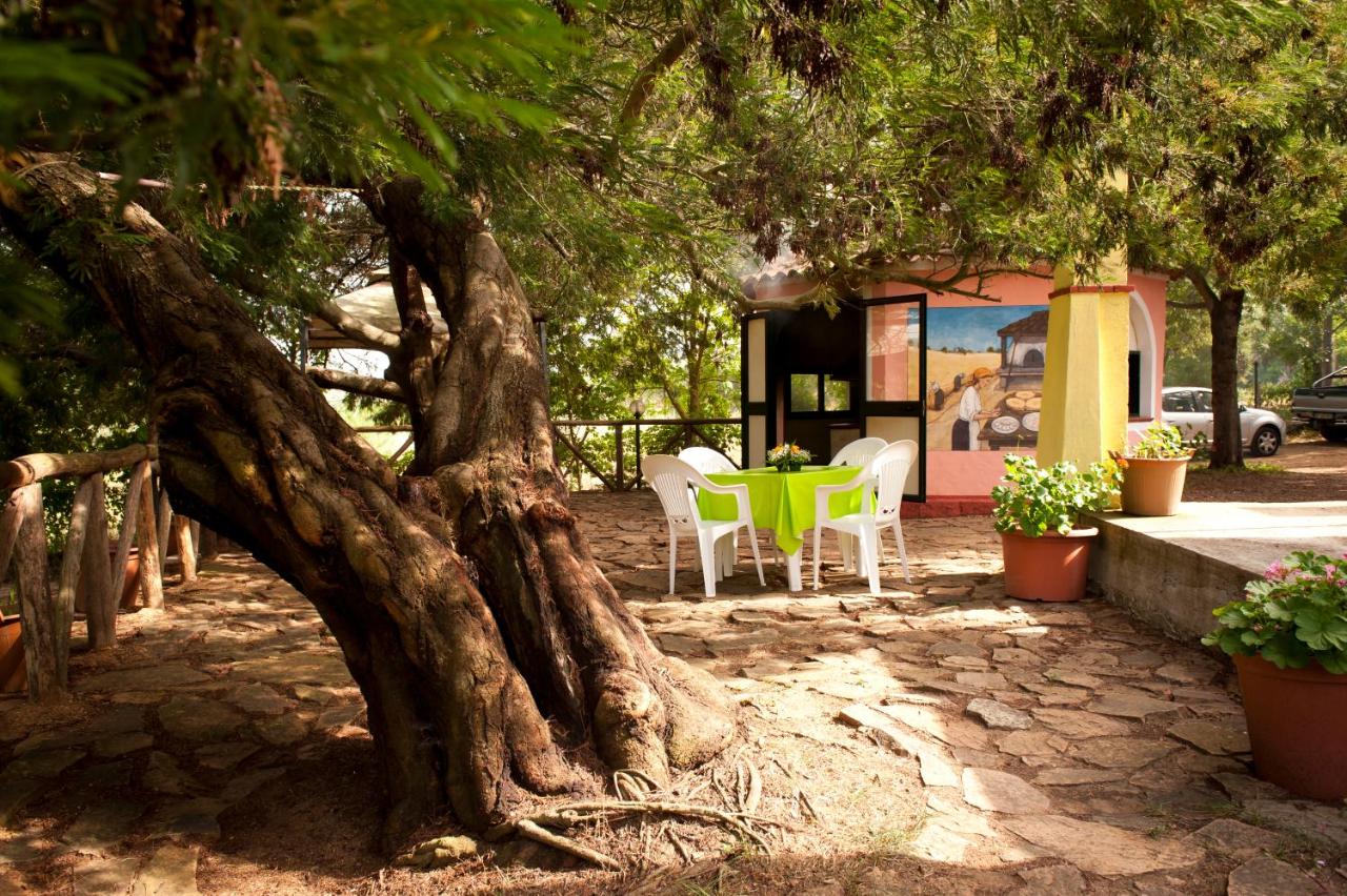 Agriturismo Menhir - Ferienwohnung