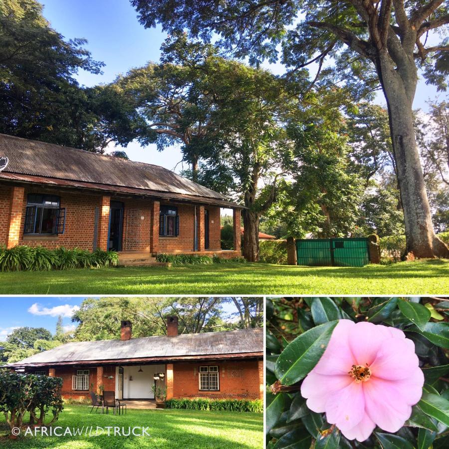 AfricaWildTruck Eco Camp & Lodge - B&B Mulanje
