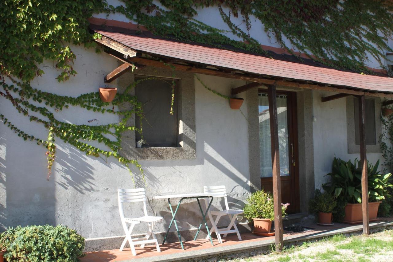 Vecchio olmo - B&B Viterbo