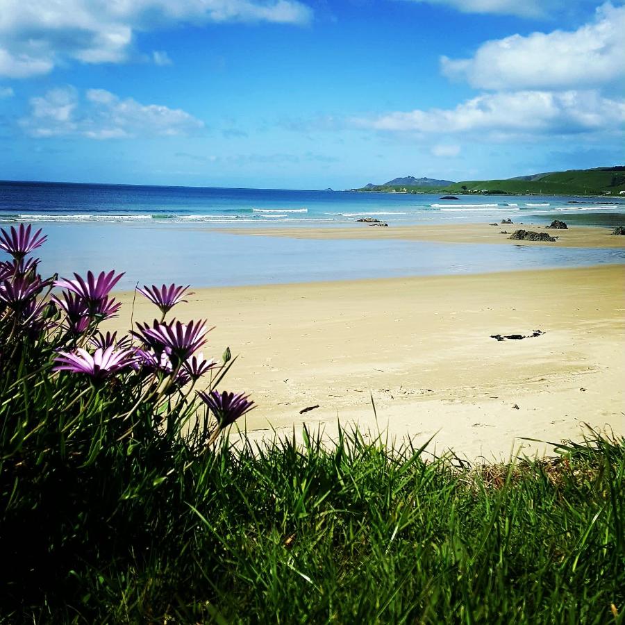 Kaka Point Spa Accommodation - Catlins - Ferienwohnung