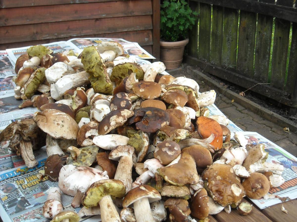 Habitación Doble - 2 camas