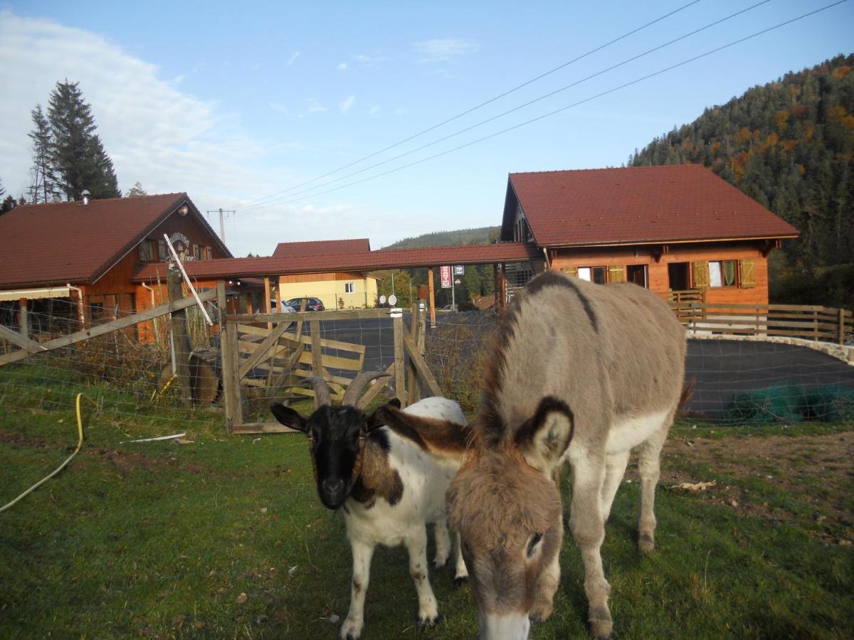 B&B Xonrupt-Longemer - Auberge du Saut des Cuves - Bed and Breakfast Xonrupt-Longemer