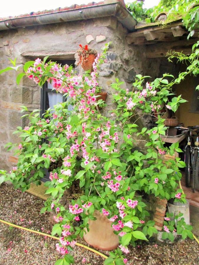 Iorio's Country House - Bed and Breakfast Montefiascone