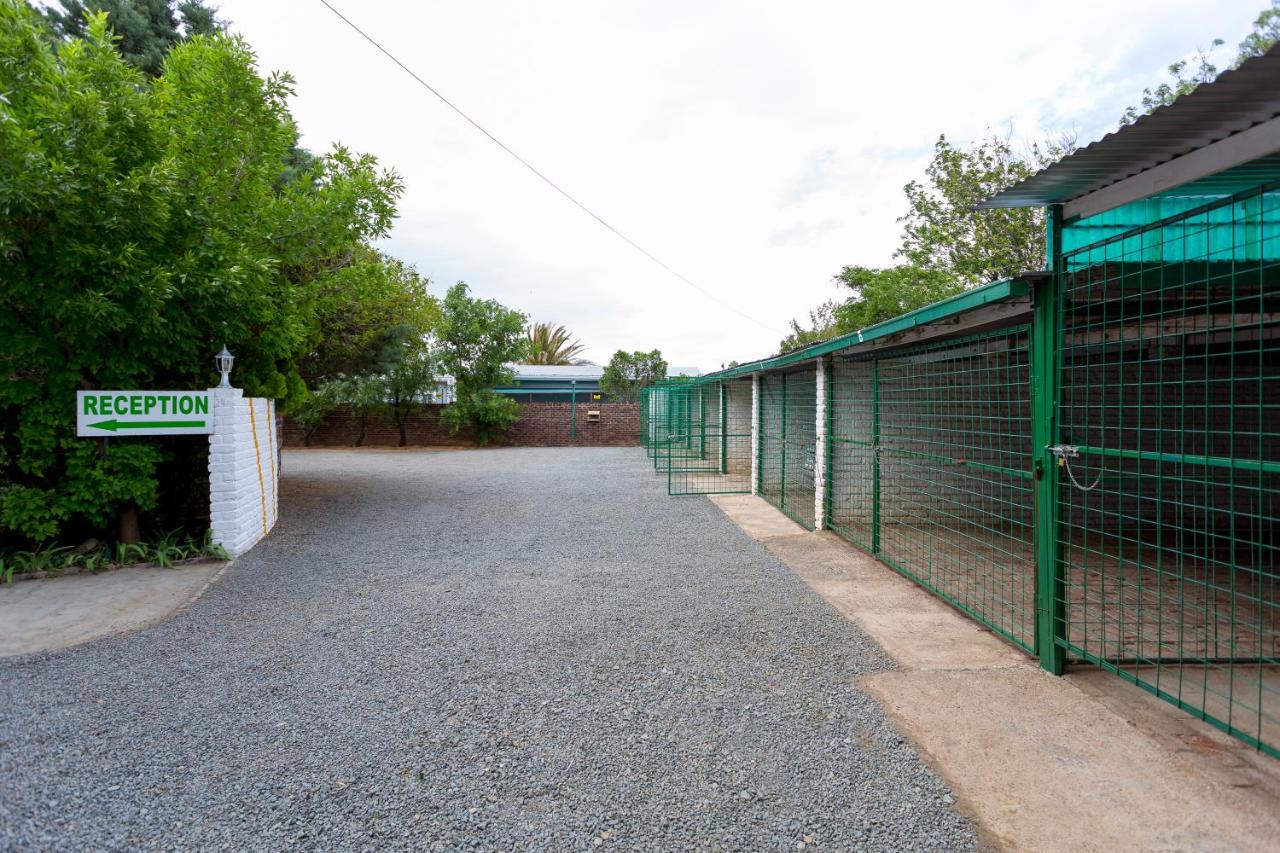 Colesview Guest House - Ferienwohnung Colesberg