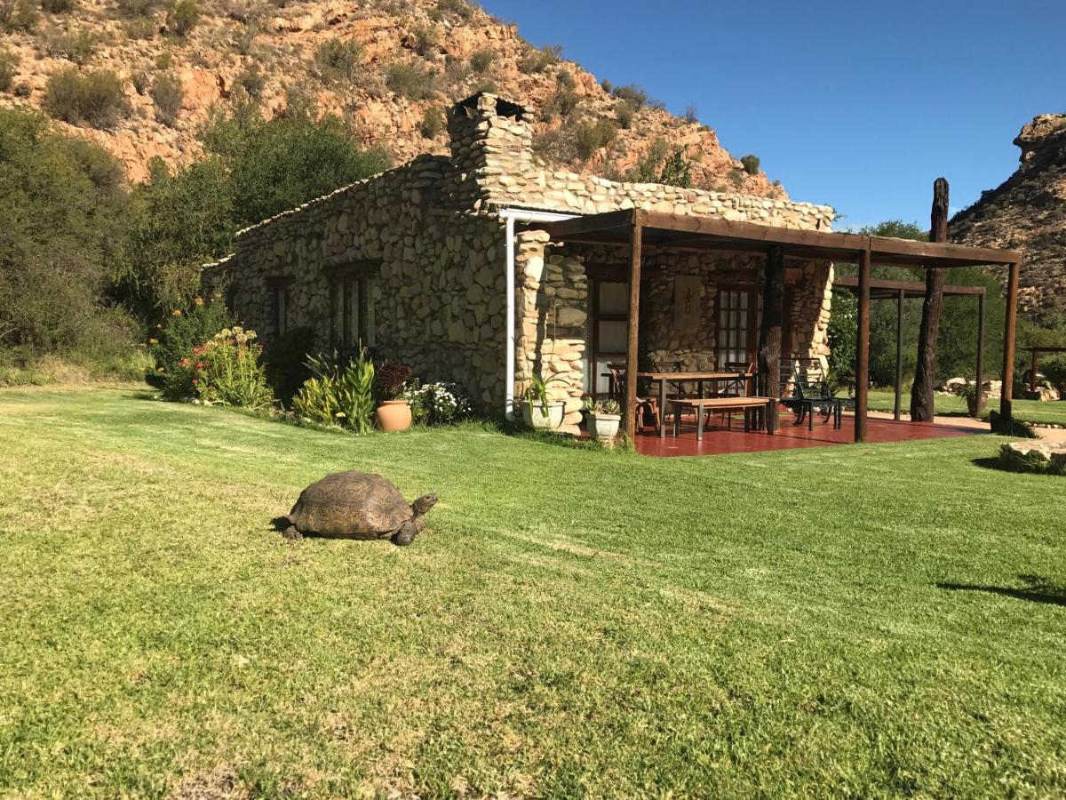 Baviaanskloof Duiwekloof Lodge - B&B Willowmore