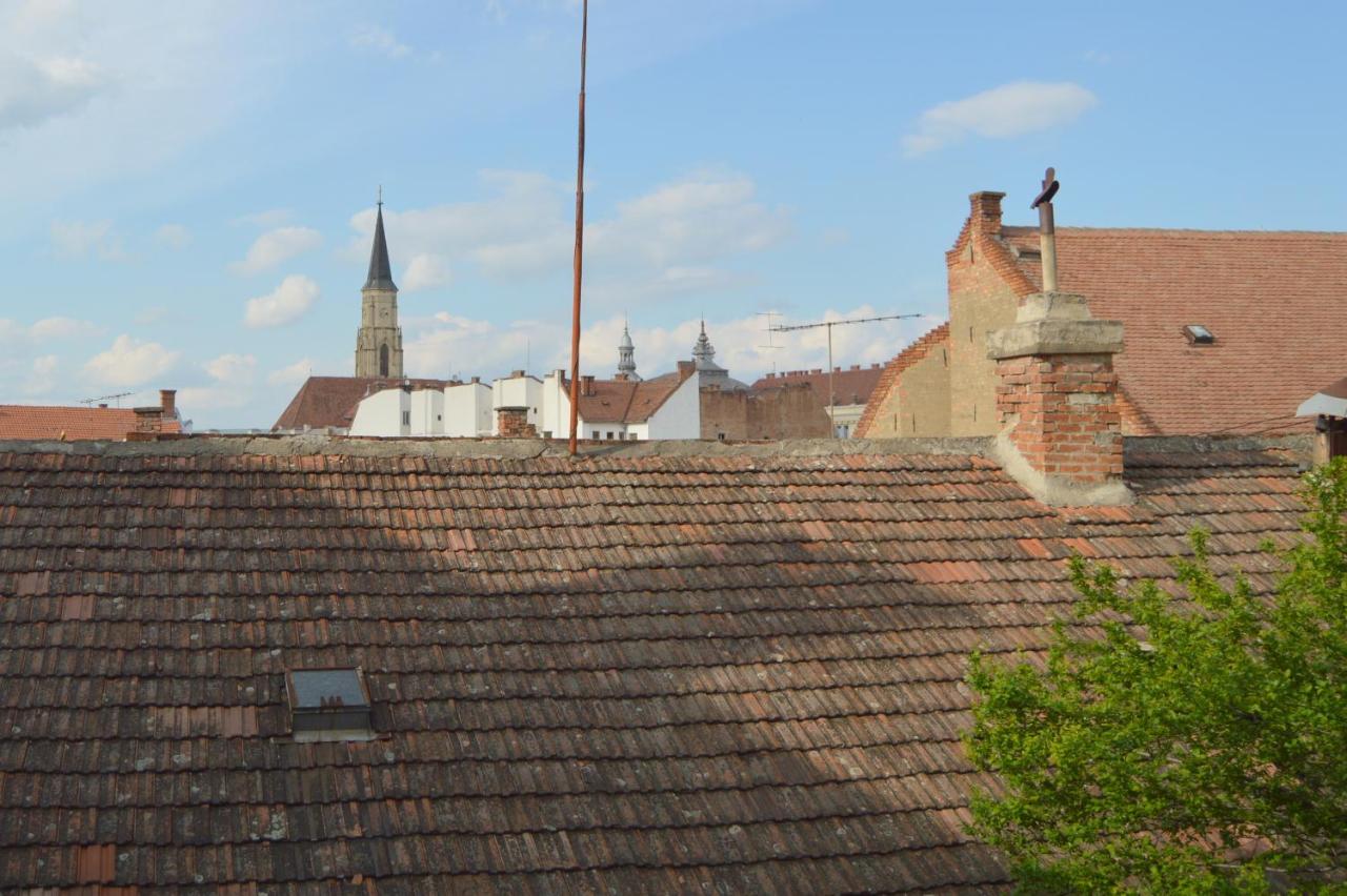 Central Cozy Apartment - Ferienwohnung Klausenburg