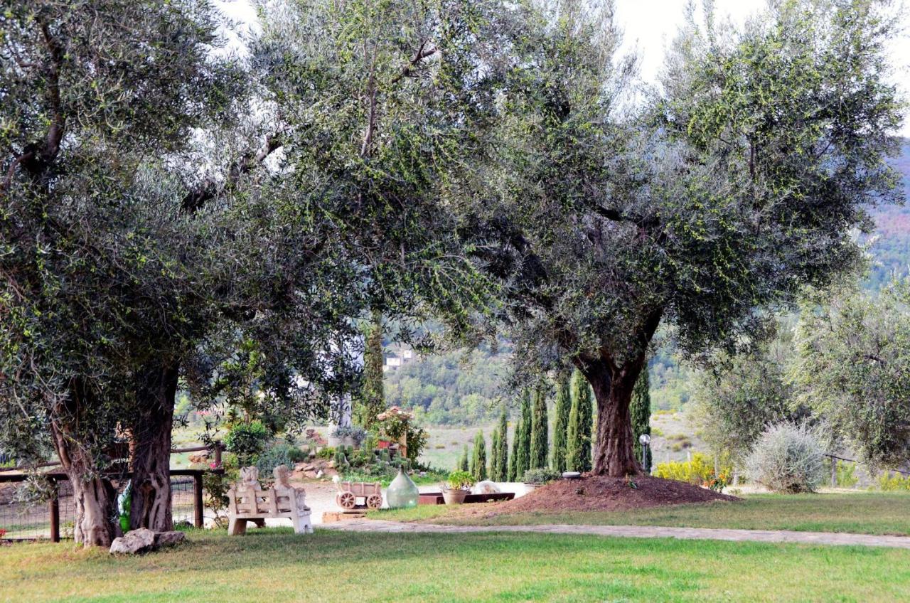 Agriturismo La Svolta - B&B