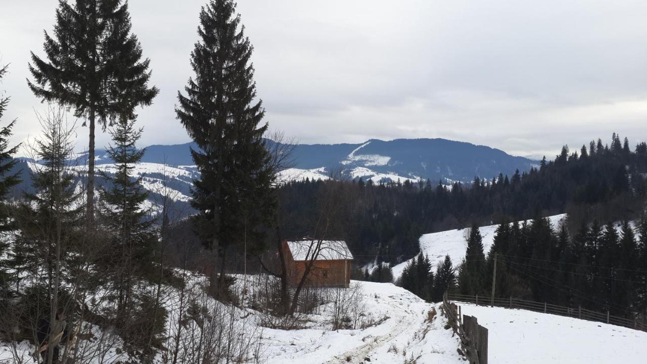 Вище за хмари - B&B Verkhovyna