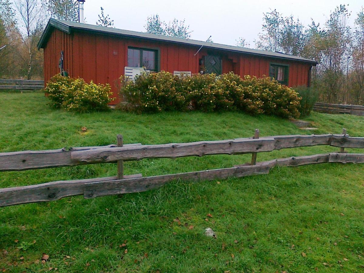 Timjan Forest Resort - Ferienwohnung