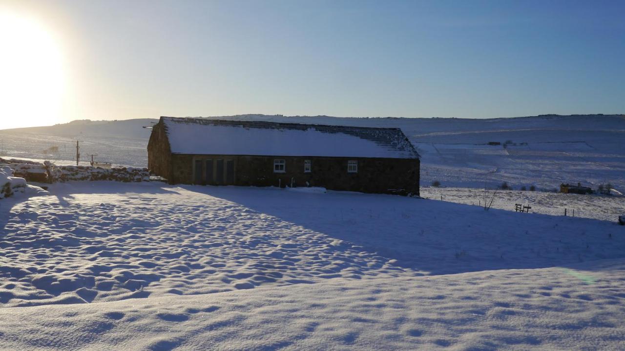 Hazel Barrow Farm Cottage - B&B