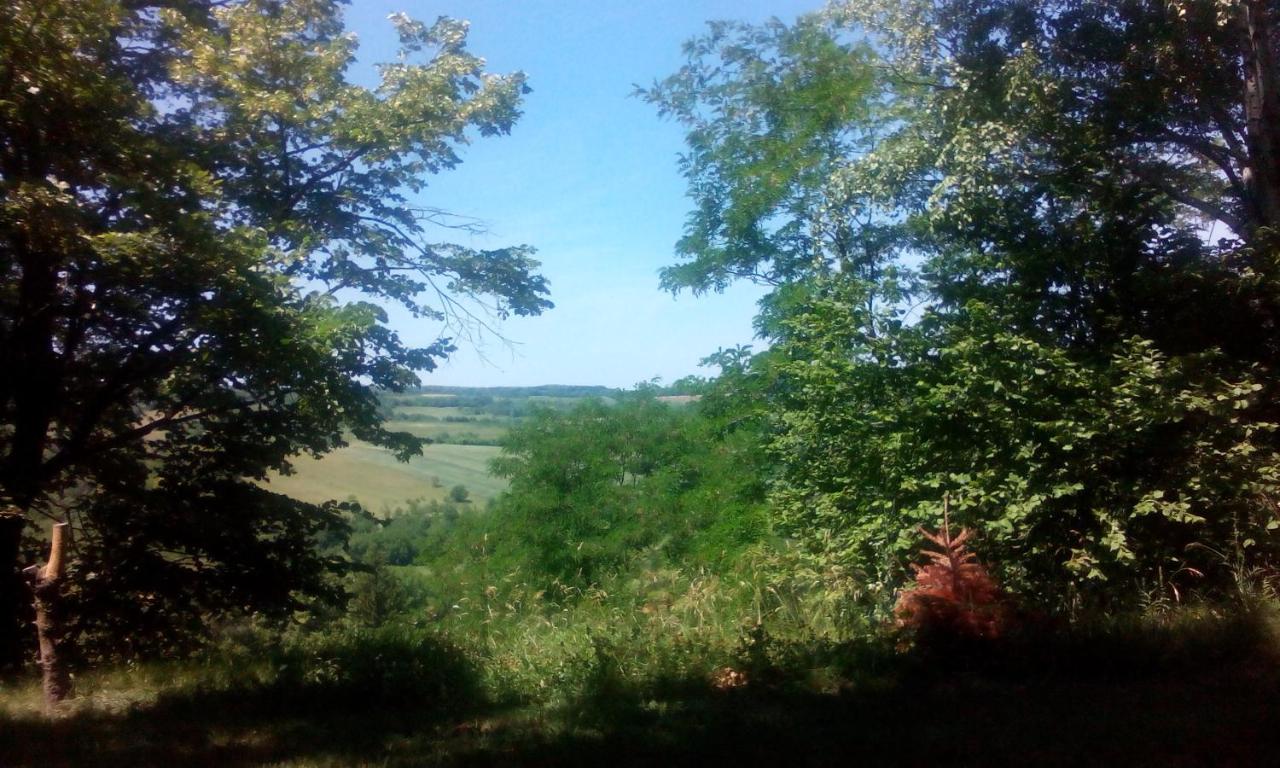 Camera Quadrupla con Vista Giardino 