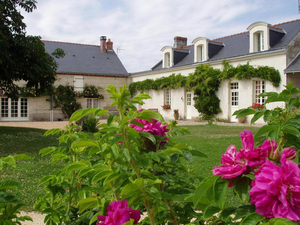 B&B Saumur - La Jarillais - Bed and Breakfast Saumur