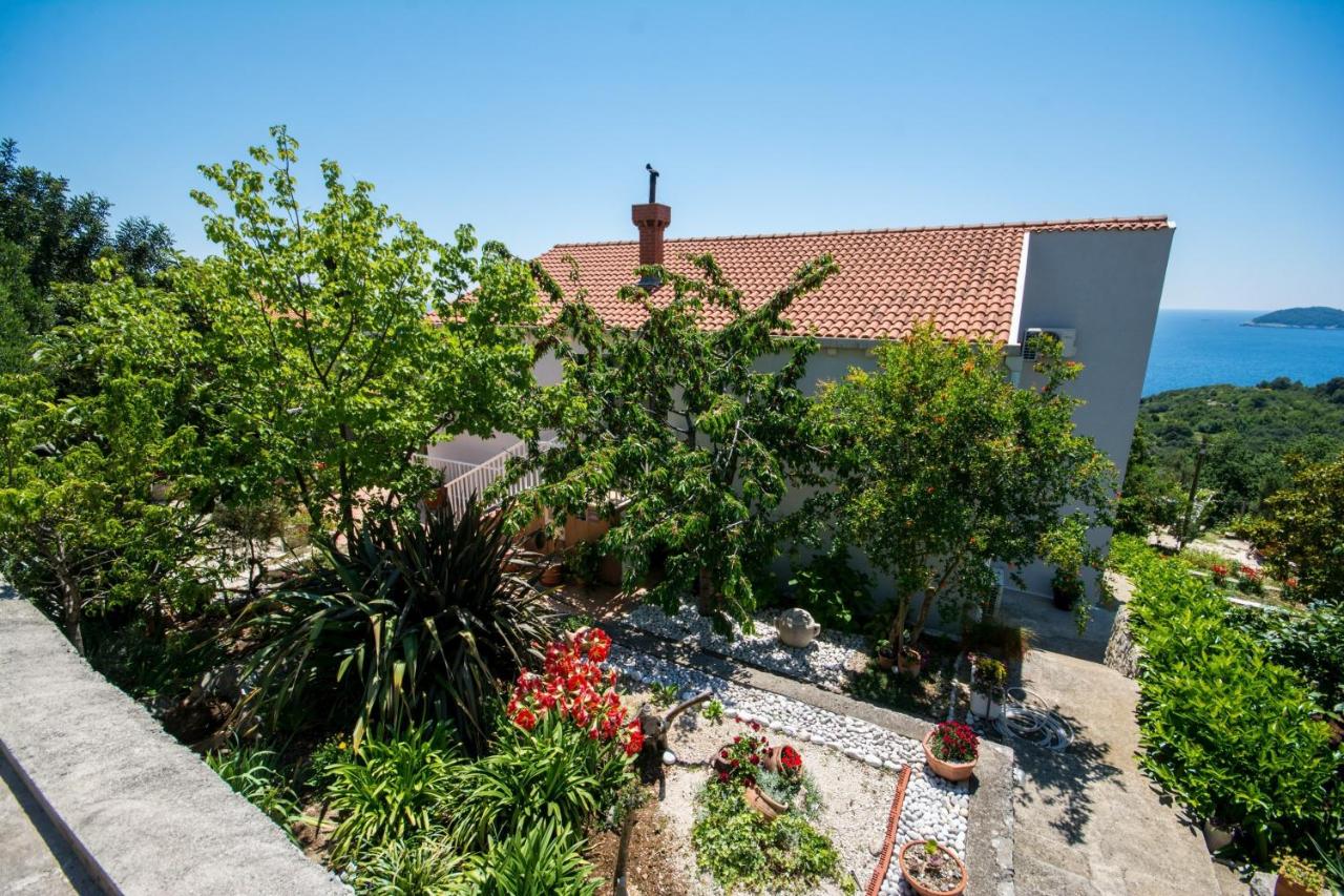 Apartments Nautilus Orašac - Ferienwohnung Orašac