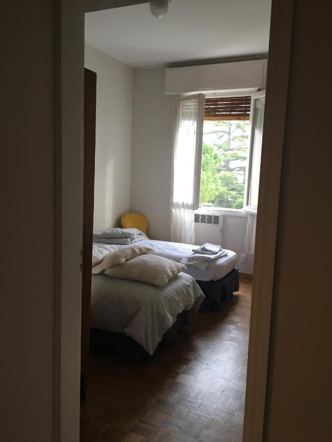 Junior Suite with Garden View