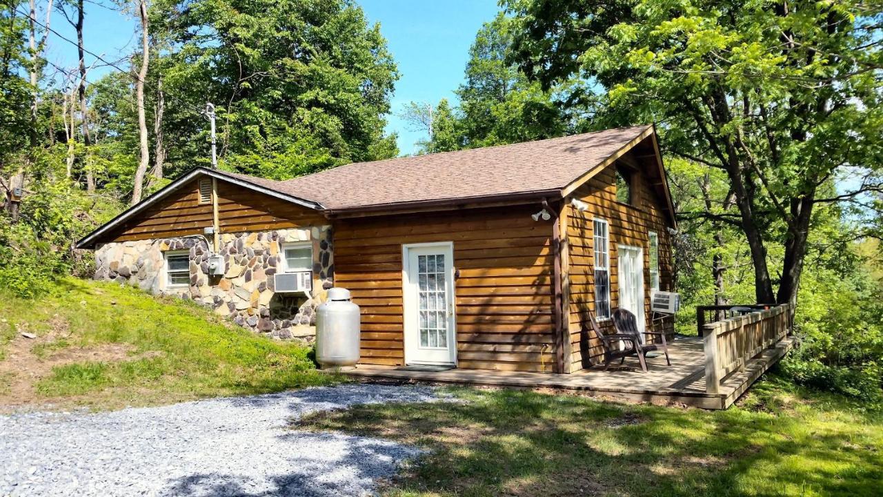 High Ridge cabin in the Blue Ridge Mountains - B&B