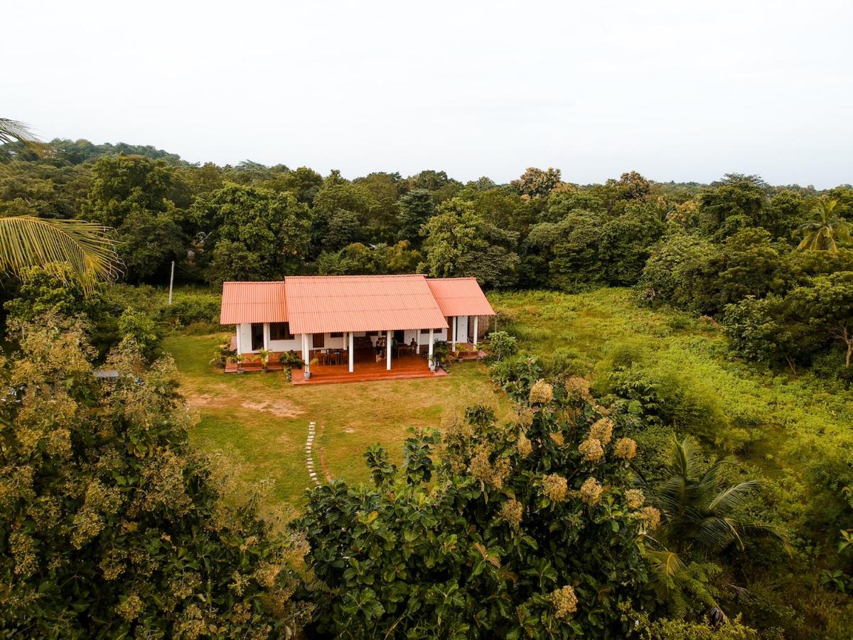 Ruins Villa - Bed and Breakfast Polonnaruwa