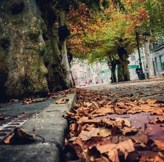 Loft "Parking" "Elegante" Lila - B&B Ubrique