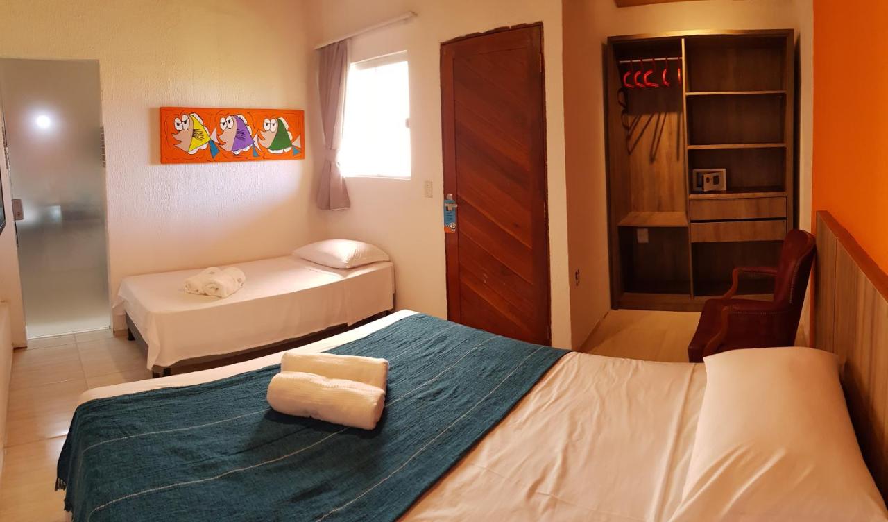 Suite Junior con vistas al jardín