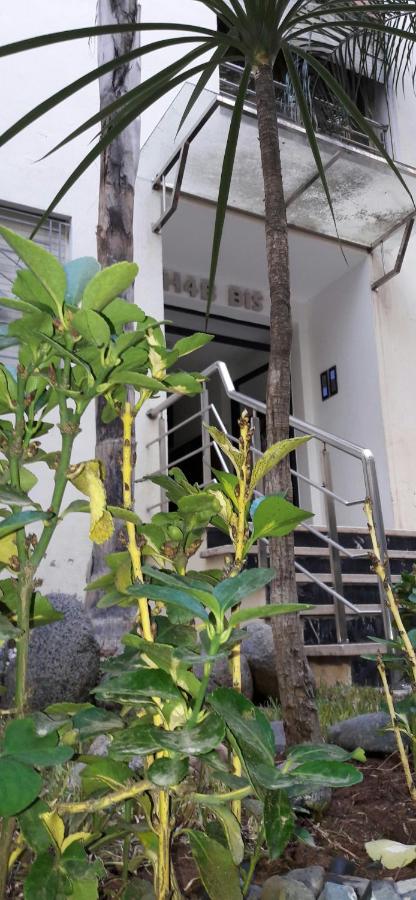 Horizon Garden Home - B&B